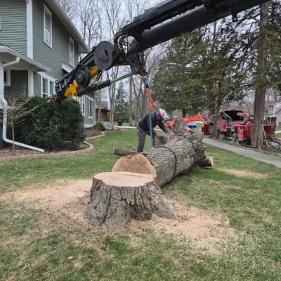 Lifting a Large Residential Trunk