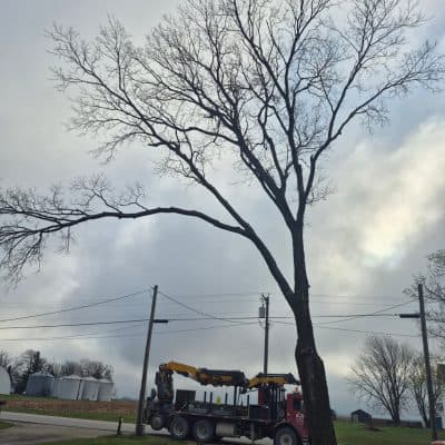 Crane-Assisted Removal in Macksburg