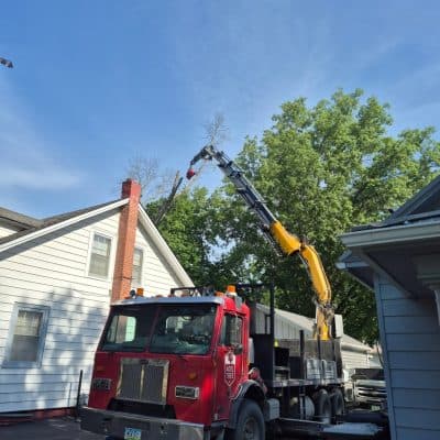 Finishing a Hazardous Pin Oak Removal