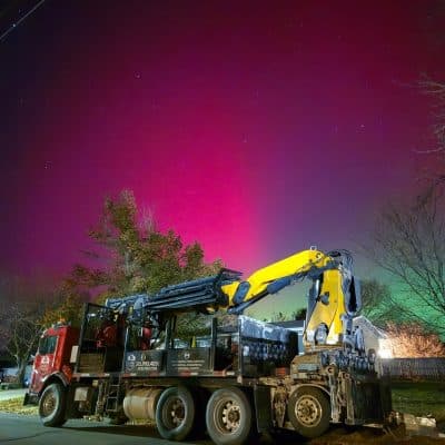 The Crane Under the Northern Lights