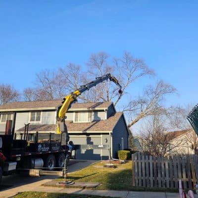 Knuckleboom Crane Reaching Out