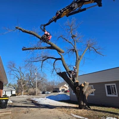 Grapple Saw and Climber