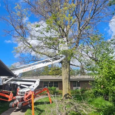 Big Crane. Tiny Access. No Problem.