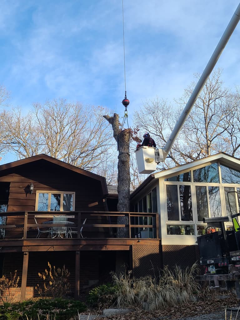 Adel Tree equipment and crew on a tree care job